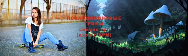 шишки Покровск