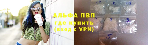 индика Абаза