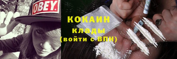 индика Абаза