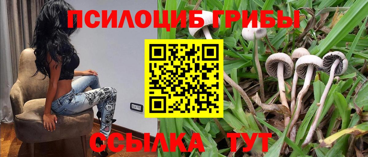 A PVP СК   ГАШ  Мурино  Сколько стоит  МЕФ   Вход с VPN  Марихуана  Мефедрон  COCAIN 