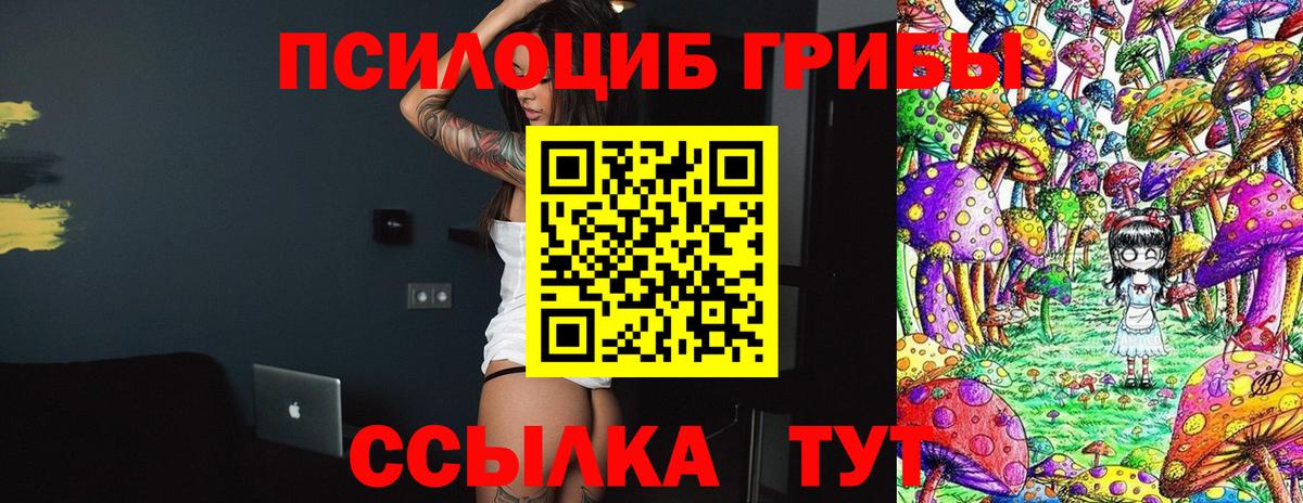 Галлюциногенные грибы мицелий Мурино