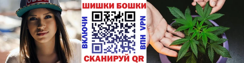 где купить   Мурино  Бошки Шишки конопля 