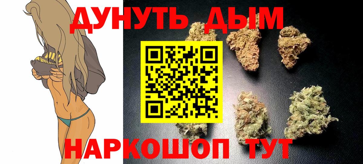Конопля индика Мурино